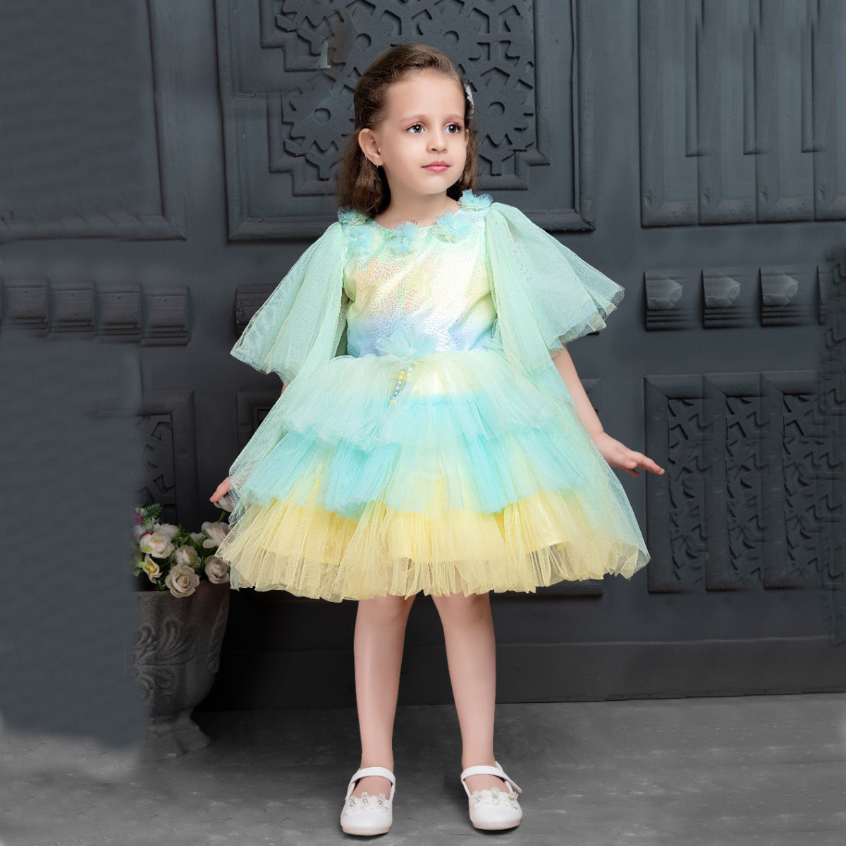 Amazon.com: AIMJCHLD Teenages Girls Ball Gowns Flower Girl Dress Kids  Children Country Party Formal Special Performance Dress Baptism Graduation  Bowknot Party Dresses Size 5 6 Years (Bean Powder 130): Clothing, Shoes &  Jewelry
